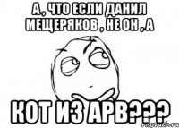 а , что если данил мещеряков , не он , а кот из apb???