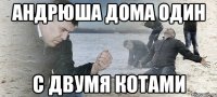 андрюша дома один с двумя котами