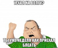 уехал на волгу? ты уже неделя как приехал блеать