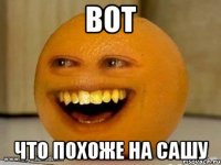 вот что похоже на сашу