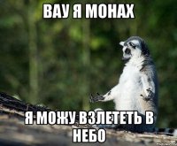 вау я монах я можу взлететь в небо