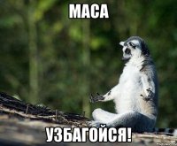 маса узбагойся!