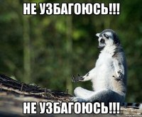 не узбагоюсь!!! не узбагоюсь!!!