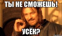 ты не сможешь! усёк?