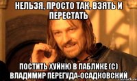 нельзя, просто так, взять и перестать постить хуйню в паблике (с) владимир перегуда-осадковский