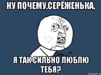 ну почему,серёженька, я так сильно люблю тебя?