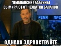 гималайские бабуины вымирают от нехватки бананов однако здравствуйте