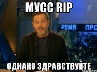 мусс rip однако здравствуйте