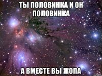 ты половинка и он половинка а вместе вы жопа