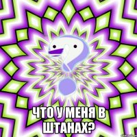  что у меня в штанах?