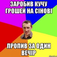 заробив кучу грошей на сінові пропив за один вечір