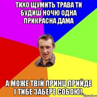 тихо щумить трава ти будиш ночю одна прикрасна дама а може твiй принц прийде i тибе забере собою!.