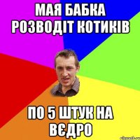 мая бабка розводіт котиків по 5 штук на вєдро