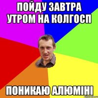 пойду завтра утром на колгосп поникаю алюміні