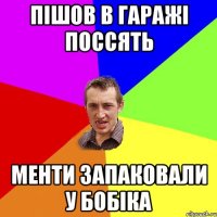 пішов в гаражі поссять менти запаковали у бобіка