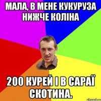 мала, в мене кукуруза нижче коліна 200 курей і в сараї скотина.