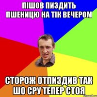 пішов пиздить пшеницю на тік вечером сторож отпиздив так шо сру тепер стоя