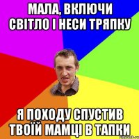 мала, включи світло і неси тряпку я походу спустив твоїй мамці в тапки