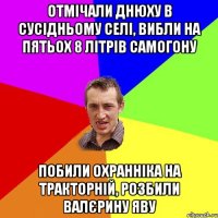 отмічали днюху в сусідньому селі, вибли на пятьох 8 літрів самогону побили охранніка на тракторній, розбили валєрину яву