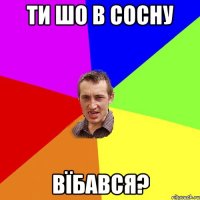 ти шо в сосну вїбався?