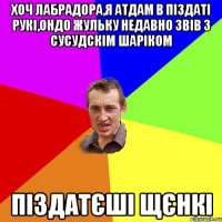 хоч лабрадора,я атдам в піздаті рукі,ондо жульку недавно звів з сусудскім шаріком піздатєші щєнкі