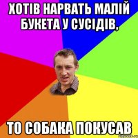 хотів нарвать малій букета у сусідів, то собака покусав