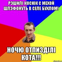 рэшилi косюк с мехой шлэфонуть в селе бухлом! ночю отпиздiлi кота!!!