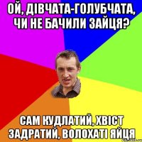 ой, дівчата-голубчата, чи не бачили зайця? сам кудлатий, хвіст задратий, волохаті яйця