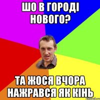 шо в городі нового? та жося вчора нажрався як кінь