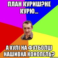 план куриш?не курю... а хулі на футболці нашивка конопель?