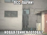 псс, парни! новая гвинея готова?