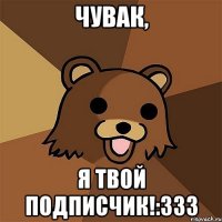 чувак, я твой подписчик!:333