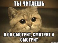 ты читаешь а он смотрит, смотрит и смотрит