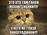 это кто там такой мохнатенький!!! у него же глаза виноградинки!!!