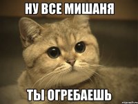 ну все мишаня ты огребаешь