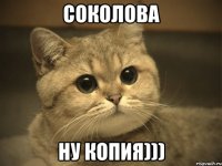 соколова ну копия)))