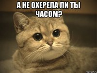 а не охерела ли ты часом? 