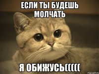 если ты будешь молчать я обижусь(((((