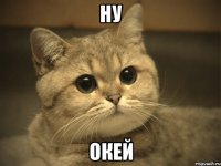 ну окей