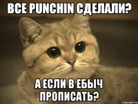 все punchin сделали? а если в ебыч прописать?