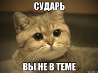 сударь вы не в теме