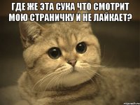 где же эта сука что смотрит мою страничку и не лайкает? 