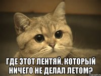  где этот лентяй, который ничего не делал летом?