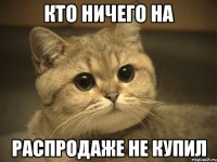 кто ничего на распродаже не купил