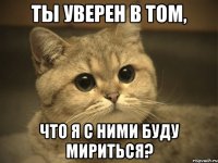 ты уверен в том, что я с ними буду мириться?