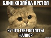 блин хозяйка прется ну что тебе котлеты жалко?