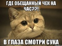 где обещанный чек на час??! в глаза смотри сука