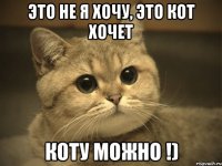 это не я хочу, это кот хочет коту можно !)