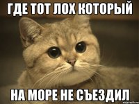 где тот лох который на море не съездил