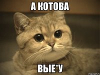 а котова вые*у